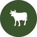 Qurbani  2024​